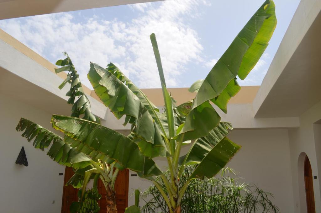 فندق Casa Naima إيداوغورد المظهر الخارجي الصورة