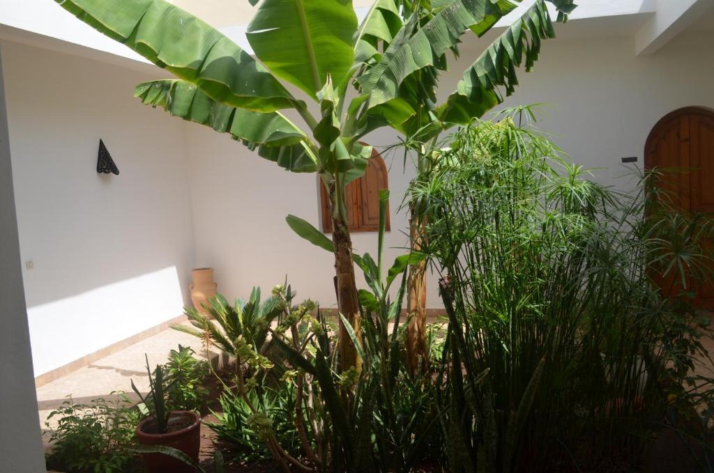 فندق Casa Naima إيداوغورد المظهر الخارجي الصورة